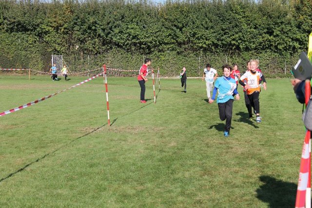 crosscountry_2015 44